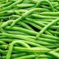 American No-bracket Cowpea 60 PCS Seeds