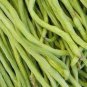 American No-bracket Cowpea 60 PCS Seeds