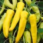 Anhui Yelow Hot Pickled Chili Pepper Organic 20 PCS Seeds