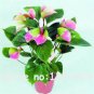Anthurium Plants Bonsai Flower Blue Anthurium Plant Balcony Pot 100 PCS Seeds