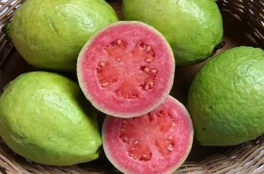 Apple Guava (Psidium Guajava) 20 PCS Seeds