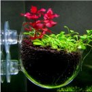 Aquarium Glossostigma Hemianthus Callitrichoides Bonsai Water Grass Mini 500 PCS Seeds