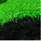 Aquarium Grass Seeds Aquatic Fish Tank Decor Water Plants 1000 PCS Seeds Aquarium Grass Seeds Aquatic Fish Tank Decor Water Plants 1000 PCS Seeds