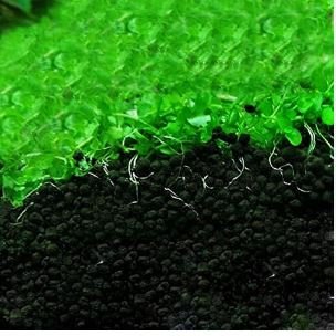 Aquarium Grass Seeds Aquatic Fish Tank Decor Water Plants 1000 PCS Seeds