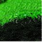Aquarium Grass Seeds Aquatic Fish Tank Decor Water Plants 1000 PCS Seeds