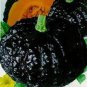 Archaizing Antique Pumpkin 4 PCS Seeds