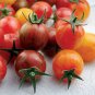 Artisan Purple Bumblebee Cherry Tomato 100 PCS Seeds
