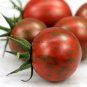 Artisan Purple Bumblebee Cherry Tomato 100 PCS Seeds