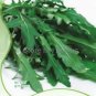 Arugula Plant Vegetable 120 PCS Seeds