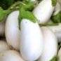 Asian White Eggplant 100 PCS Seeds