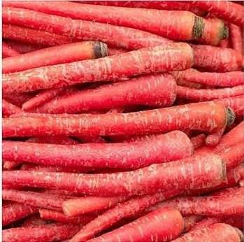 Atomic Carrot 100 PCS Seeds