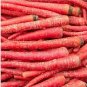 Atomic Carrot 100 PCS Seeds