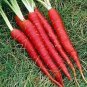 Atomic Carrot 100 PCS Seeds