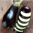 Aubergine Black Egg Plant Vegetables 100 PCS Seeds
