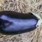 Aubergine Black Egg Plant Vegetables 100 PCS Seeds
