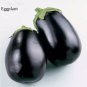 Aubergine Black Egg Plant Vegetables 100 PCS Seeds