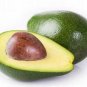 Avocado Seeds Green Fruit Very Delicious Persea Americana Mill Pear Seed Easy to Grow 10 PCS Seeds