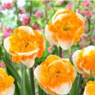 aylily Flower White Flowers with Light Orange Flowers 150 PCS Seeds