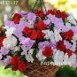 Balsam Flower Bonsai Impatiens Balsamina Bonsai Flower 100 PCS Seeds