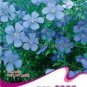 Beautiful Flower Blue Flax 30 PCS Seeds