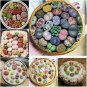 Beauty Mixed Mini Lithops Bonsai Plants 100 pcs Seeds