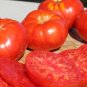 Beefmaster Hybrid F1 Tomato 100 pcs Seeds