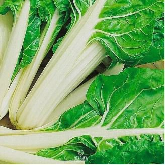 Beta Vulgaris Beets Green Chinese Vegetable 5 PCS Seeds
