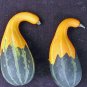 Bi-colored Ornamental Pumpkin with Five Pairs Edges Cucurbita 8 PCS Seeds