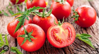 Big Beef Tomato Fresh Red Fruit 100 PCS Seeds