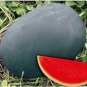 Big Black Skin Red Seedless Watermelon Organic 20 PCS Seeds