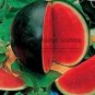 Big Black Skin Red Seedless Watermelon Organic 20 PCS Seeds