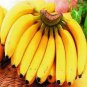 Big Hainan Yellow Banana 100 PCS Seeds