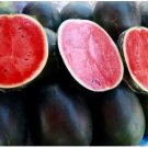Big Pink Watermelon Improved 20 PCS Seeds Big Pink Watermelon Improved 20 PCS Seeds