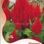 Big Red Beautiful Cockscomb Seeds balcony potted bonsai plant 40 PCS Seeds