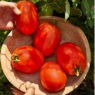 Big Red Tomato, Organic Edible Tasty Tomato 20 PCS Seeds