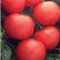 Big Red Tomato, Organic Edible Tasty Tomato 20 PCS Seeds