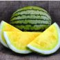 Big Super Black Skin Yellow Oval Sweet Organic Watermelon 80 PCS Seeds