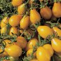 Big Yellow 'Pear' Tomato with Red End 150 PCS Seeds