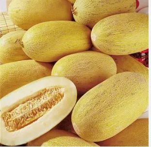 Big Yellow Sweet Taste Vegetable Mitarl Melon 8 PCS Seeds