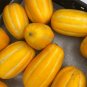 Big Yellow Sweet Taste Vegetable Mitarl Melon 8 PCS Seeds