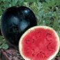 Black Diamond Watermelon 40 PCS Seeds