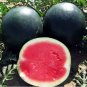 Black Diamond Watermelon Seeds Black Skin Red Inside Fruits Thin Skin 50 PCS Seeds