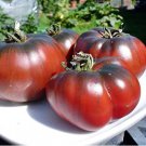 Black Krim Giant Tomato Organic 10 PCS Seeds Black Krim Giant Tomato Organic 10 PCS Seeds