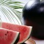 Black Long Sweet Watermelon 8 PCS Seeds
