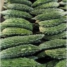 Black Pearl Bitter Vegetables 10 PCS Seeds