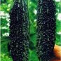 Black Pearl Bitter Vegetables 10 PCS Seeds