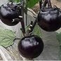 Black Round Eggplant Organic Big Vegetable 50 PCS Seeds