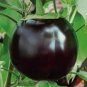 Black Round Eggplant Organic Big Vegetable 50 PCS Seeds
