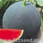 Black Skin Long Red Watermelon 30 PCS Seeds