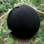 Black Skin Long Red Watermelon 30 PCS Seeds